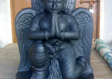 Pictures of Narasimha, Vamana, Varaha and Garuda Deities
